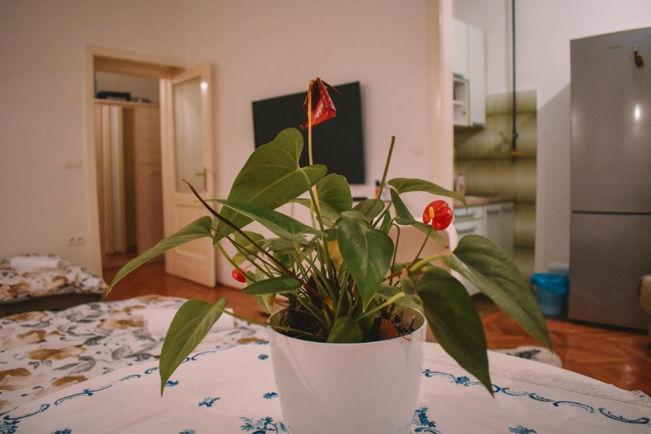 Nina Apartment Sarajevo Eksteriør bilde